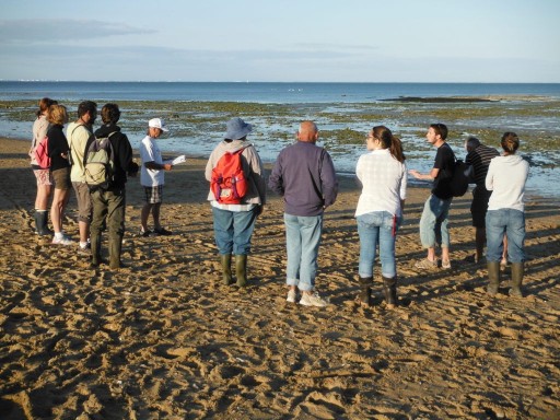 actualité ECOLE de la mer