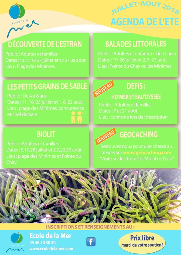 actualité ECOLE de la mer