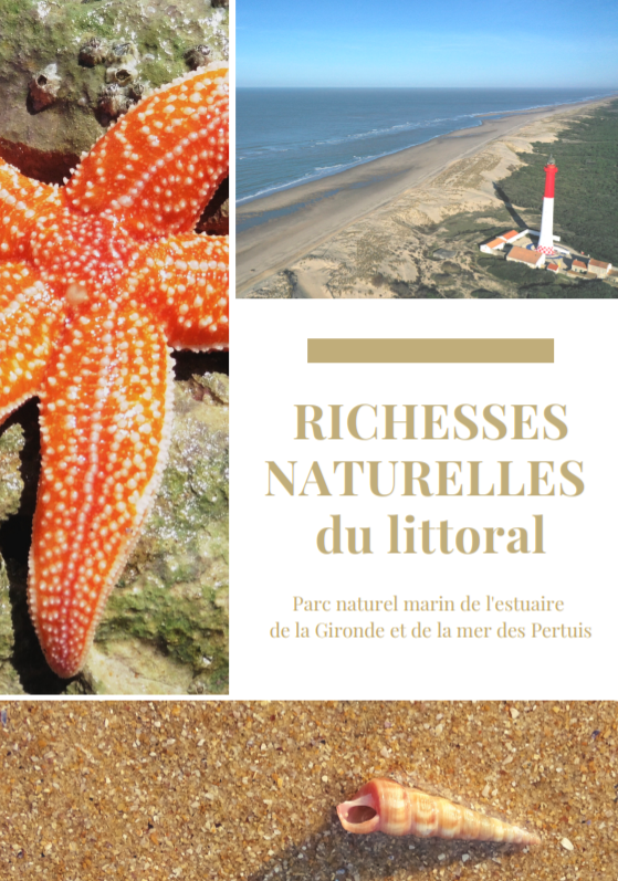 carnet du parc