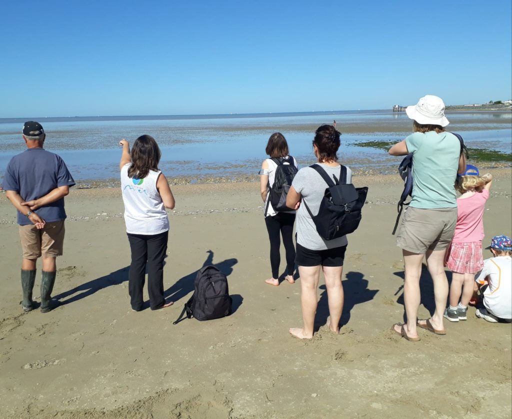 sortie laisse de mer credit ecoledelamer