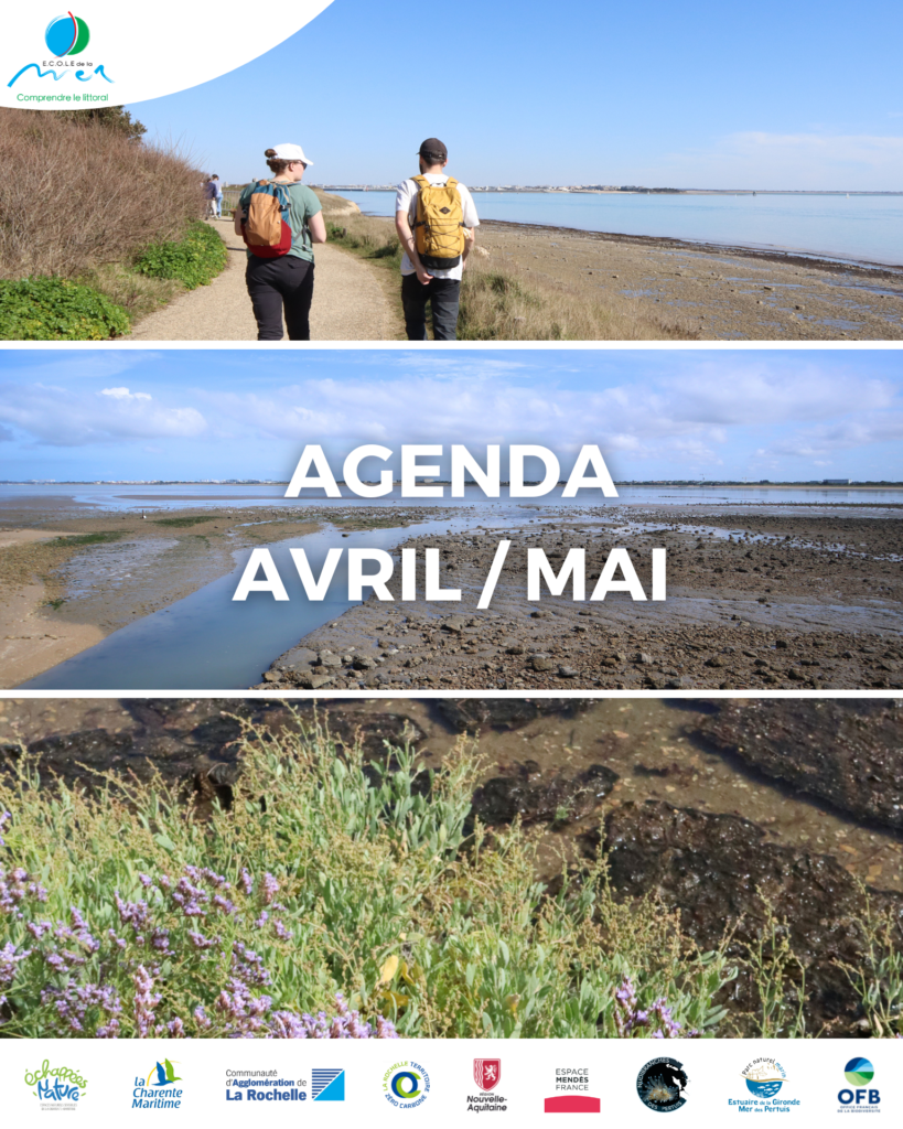 Sorties avril - mai 