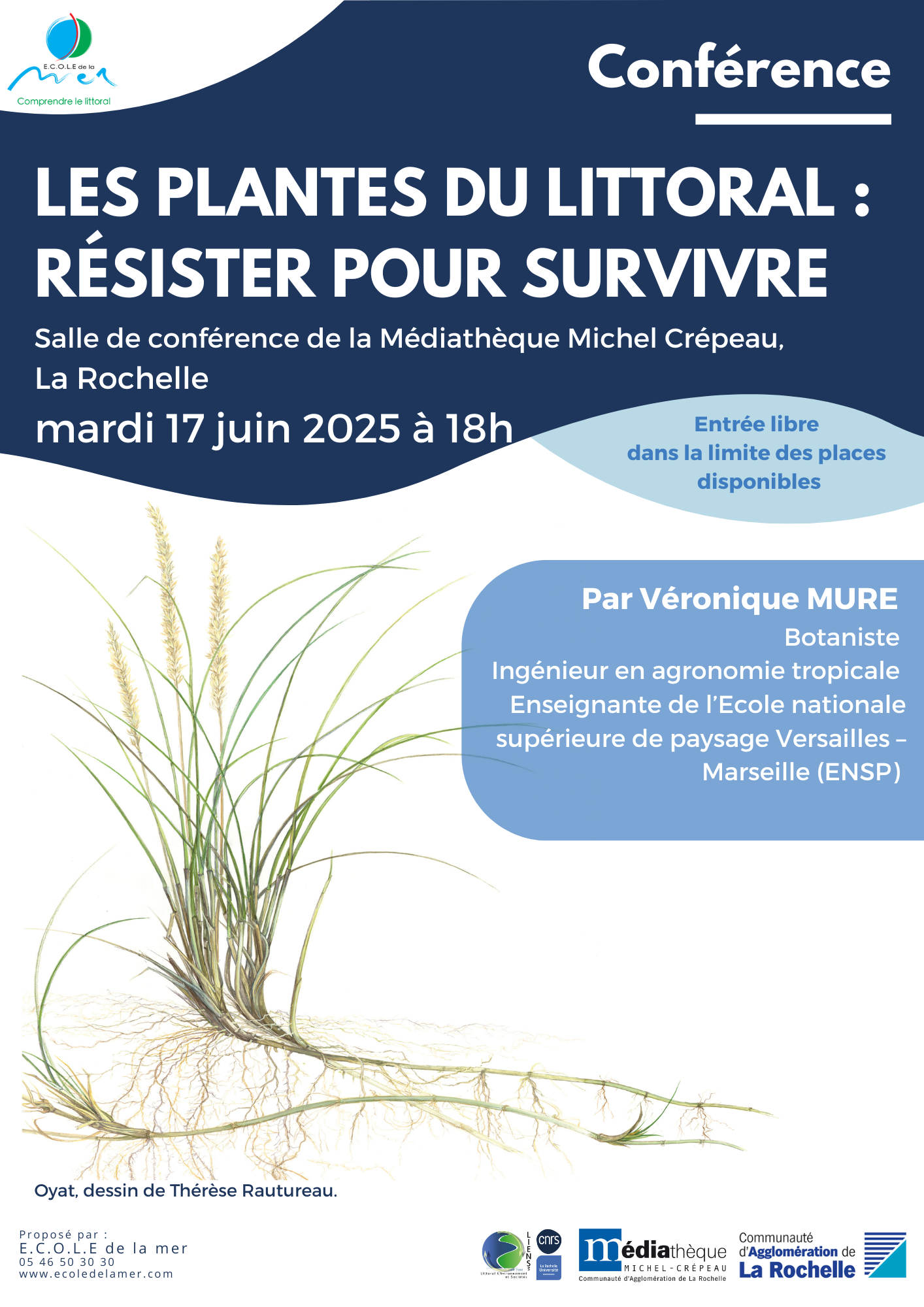 Les plantes du littoral : résister pour survivre