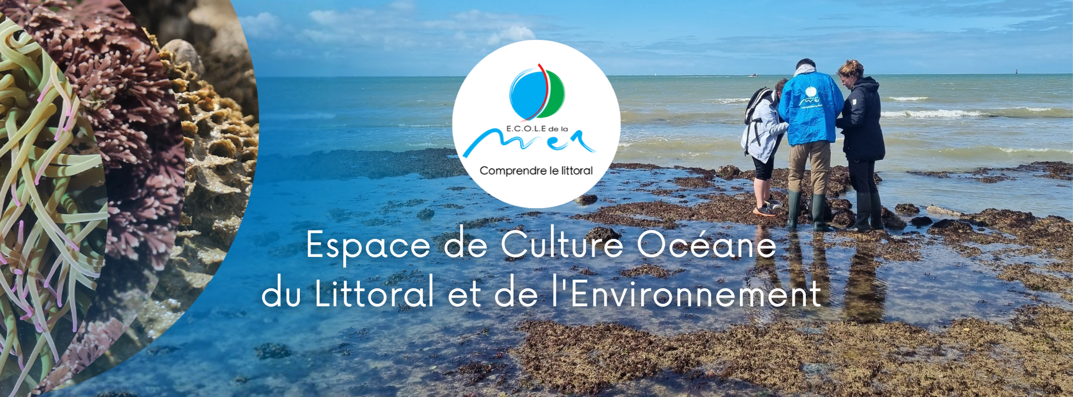 accueil É.C.O.L.E de la mer