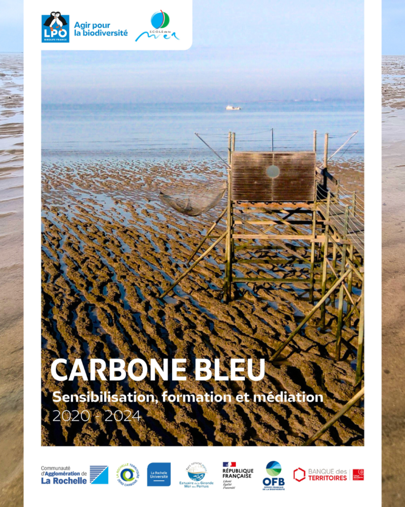 DéamBulles de l'art à la mer