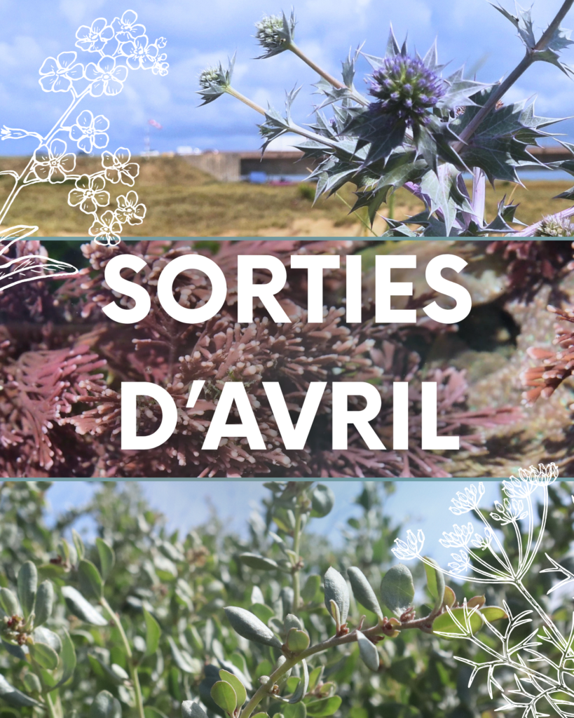 Sorties des vacances d'Avril
