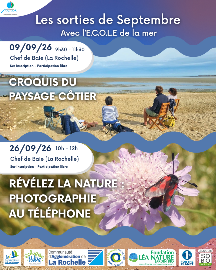 Sorties de septembre